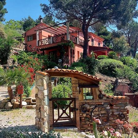 Villetta Dei Fichi D'India Rio dellʼElba Eksteriør billede