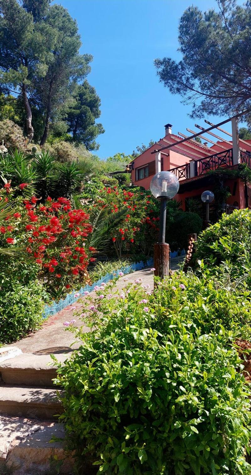 Villetta Dei Fichi D'India Rio dellʼElba Eksteriør billede