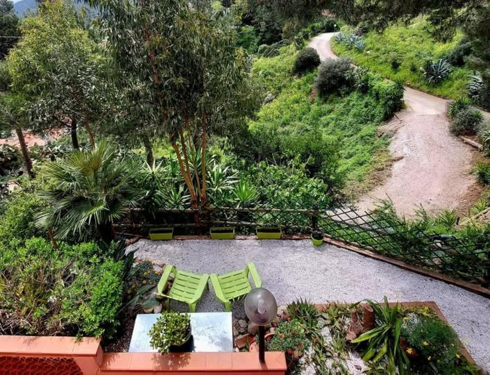 Villetta Dei Fichi D'India Rio dellʼElba Eksteriør billede